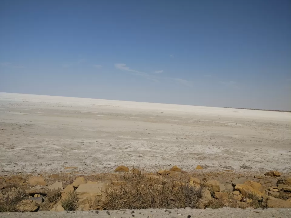 Photo of Kutch Fossil Park, Haripar, Gujarat, India by Prachi Jain