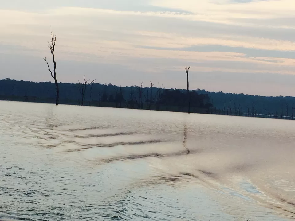 Photo of A Luxurious Getaway - #Orange County- Kabini - Part I by Prachi Jain