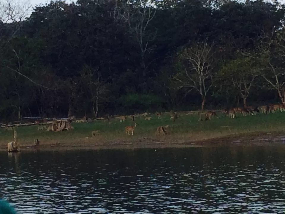 Photo of A Luxurious Getaway - #Orange County- Kabini - Part I by Prachi Jain