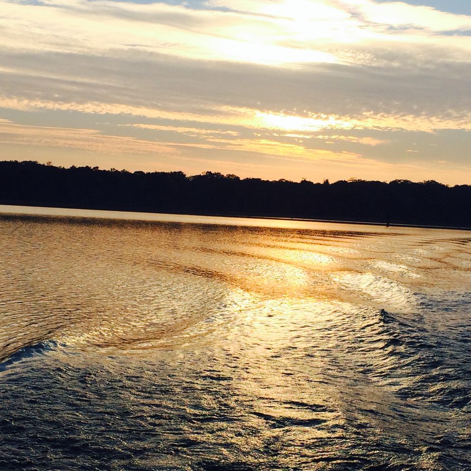 Photo of A Luxurious Getaway - #Orange County- Kabini - Part I by Prachi Jain