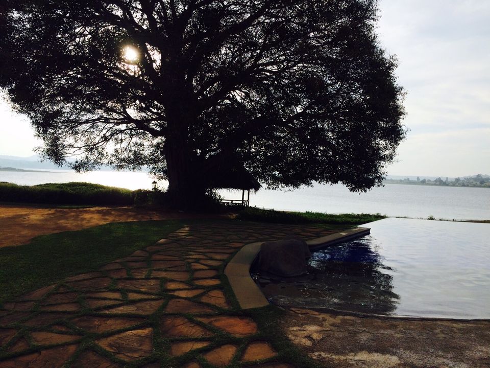 Photo of A Luxurious Getaway - #Orange County- Kabini - Part I by Prachi Jain