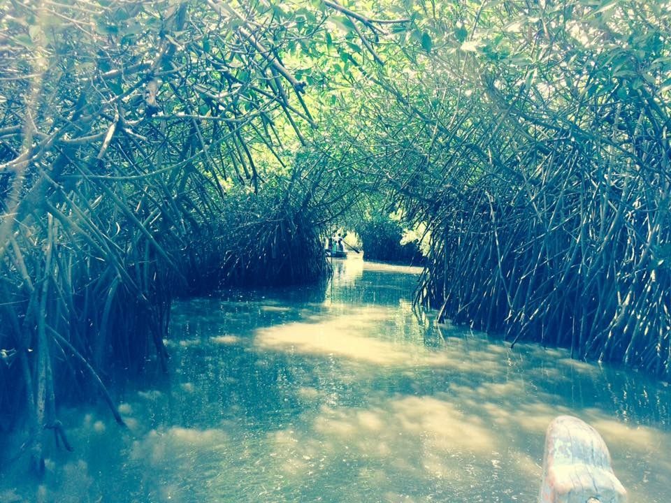 Photo of Chennai, Tamil Nadu, India by Prachi Jain