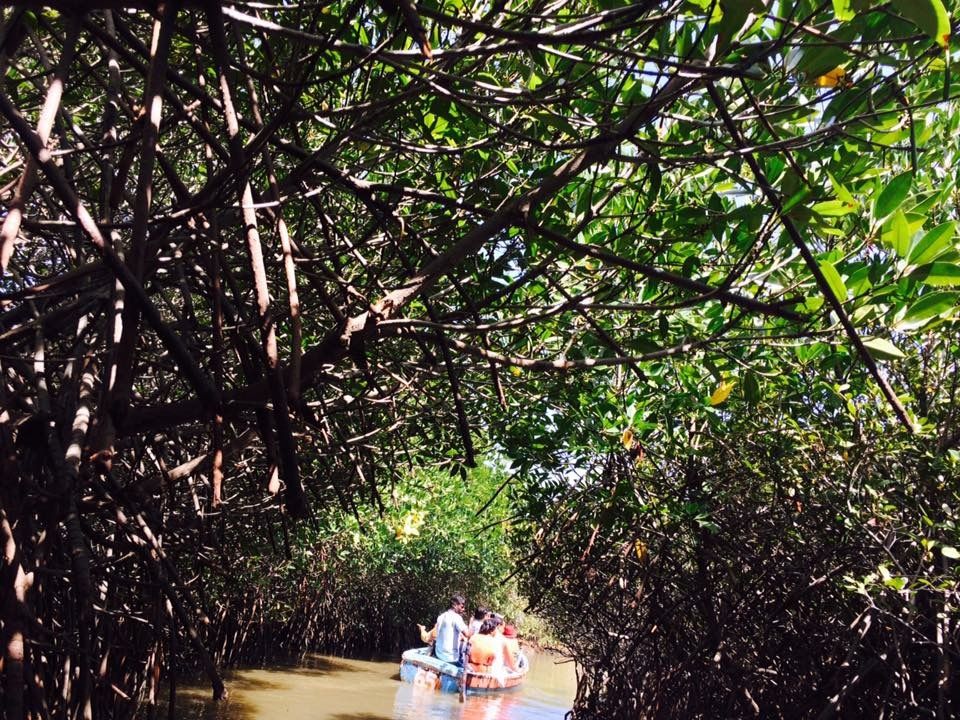 Photo of Still got No Place to go & Weekend is here- Explore the World's Second Largest Mangrove@ Pichavaram by Prachi Jain