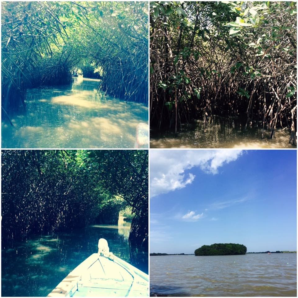 Photo of Still got No Place to go & Weekend is here- Explore the World's Second Largest Mangrove@ Pichavaram by Prachi Jain