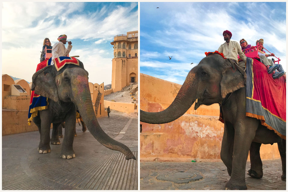 Photo of Two Days in Pink City of India - Jaipur by Purusottam Mohanty