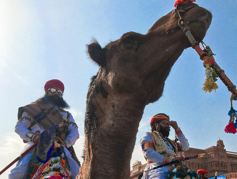 Photo of You shouldn't exclude Bikaner from your Rajasthan Trip. Here's why. by Purusottam Mohanty