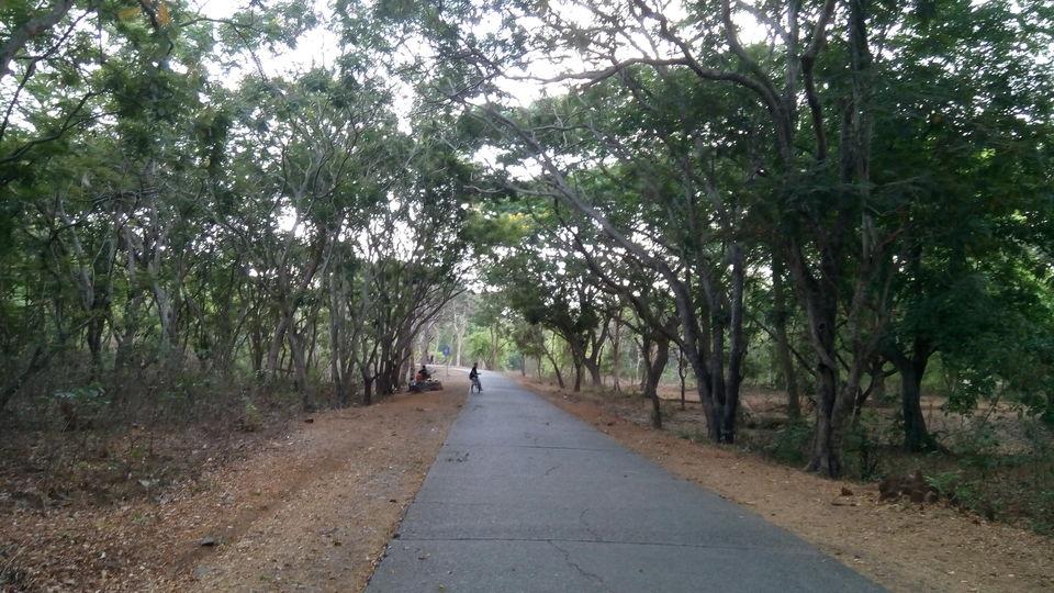 Photo of Top Cycling Locations in and around Mumbai | Shades of Mumbai 4/11 by Ankit Pednekar