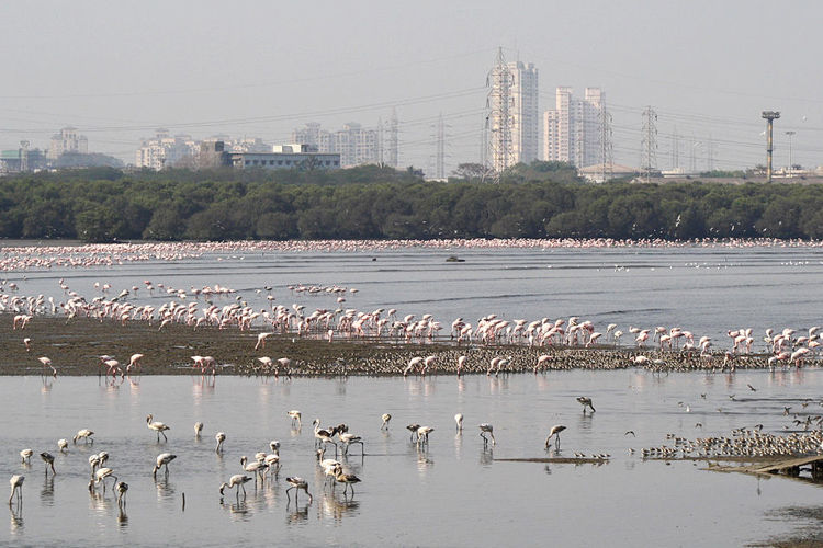 Photo of Top Cycling Locations in and around Mumbai | Shades of Mumbai 8/11 by Ankit Pednekar