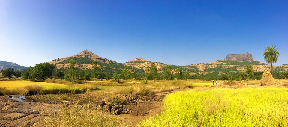 Photo of 'STAIRCASE TO HEAVEN' | HARIHAR FORT | 80° DEGREE STEEP ASCENT by Ankit Pednekar