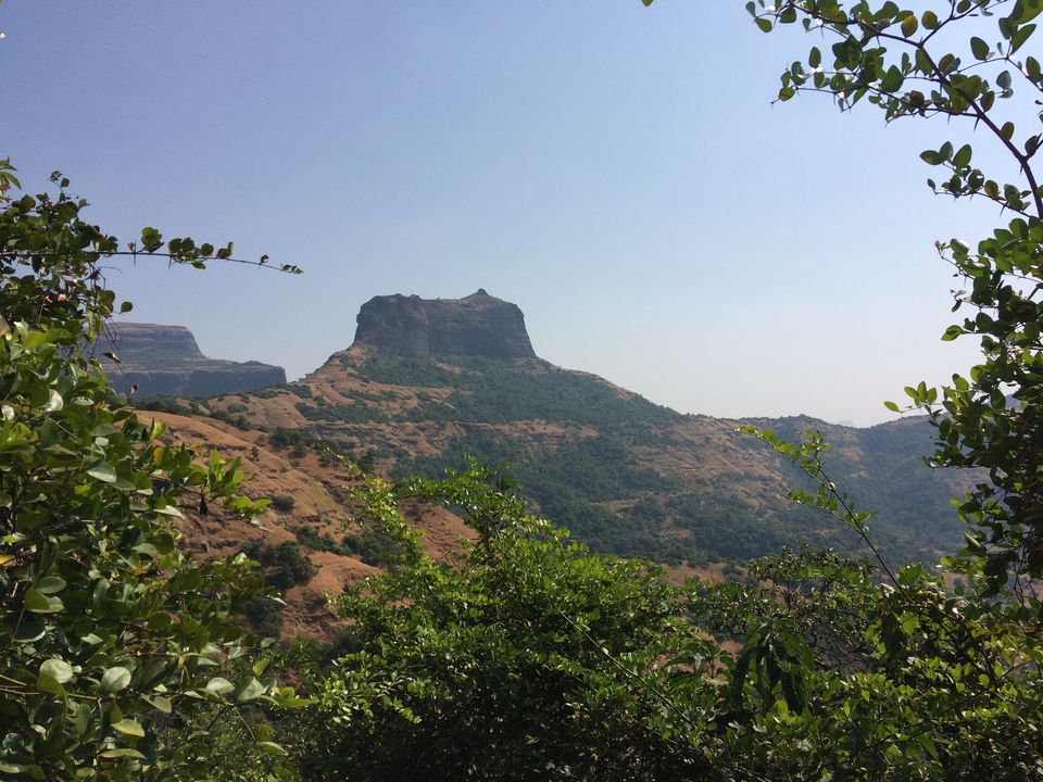 Photo of 'STAIRCASE TO HEAVEN' | HARIHAR FORT | 80° DEGREE STEEP ASCENT 1/13 by Ankit Pednekar