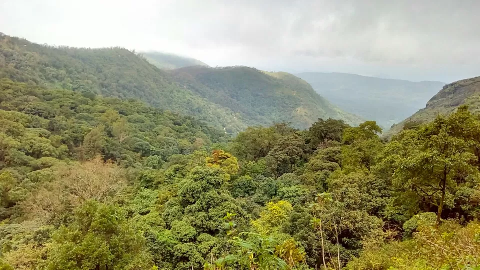 Photo of Hotel Rajmahal, Chickmagaluru, India by Ria Saha