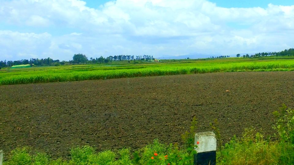 Photo of Where the green meets the greenery in Chikmagaluru 1/10 by Ria Saha