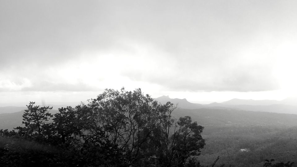 Photo of Where the green meets the greenery in Chikmagaluru 2/10 by Ria Saha