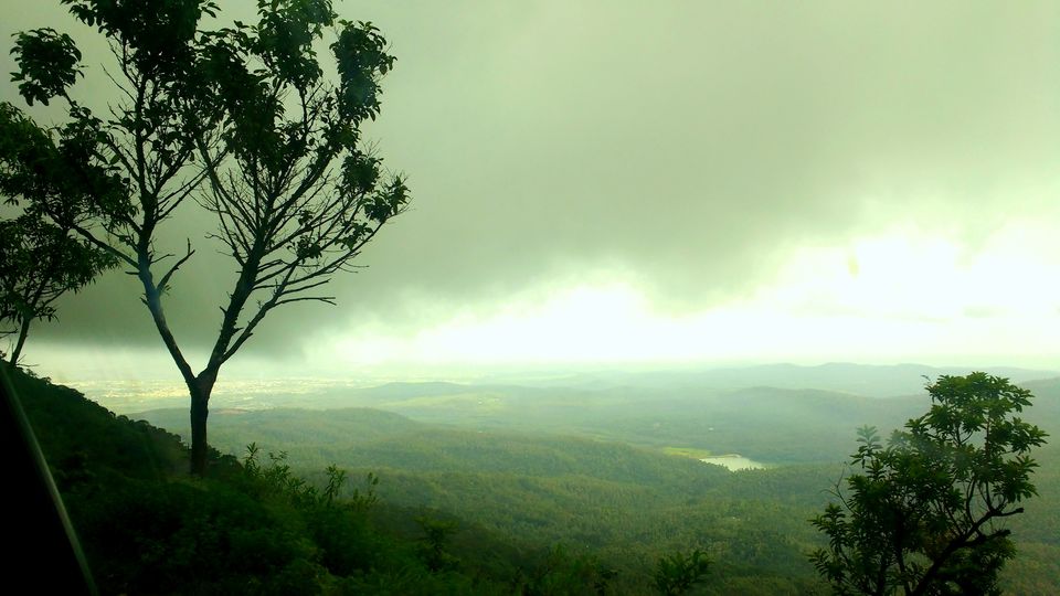 Photo of Where the green meets the greenery in Chikmagaluru 4/10 by Ria Saha