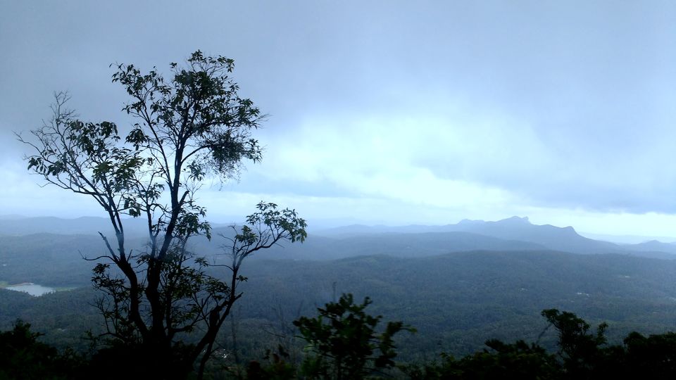 Photo of Where the green meets the greenery in Chikmagaluru 5/10 by Ria Saha
