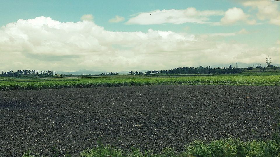 Photo of Where the green meets the greenery in Chikmagaluru 3/10 by Ria Saha