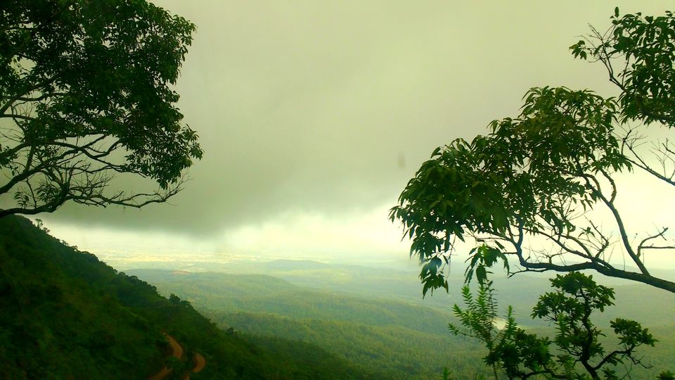 Photo of Where the green meets the greenery in Chikmagaluru 7/10 by Ria Saha