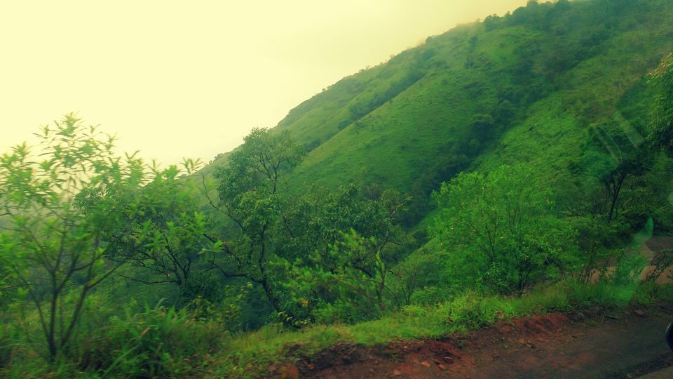 Photo of Where the green meets the greenery in Chikmagaluru 8/10 by Ria Saha
