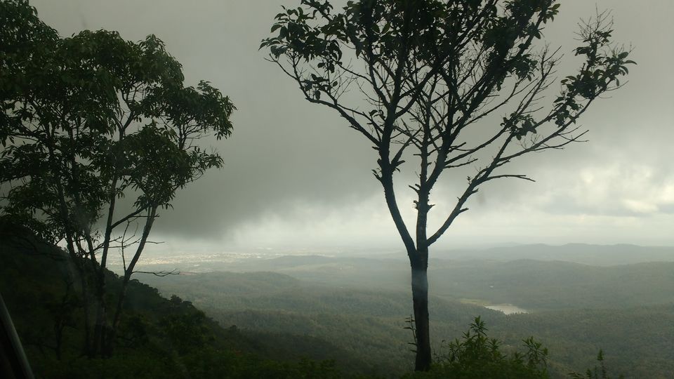 Photo of Where the green meets the greenery in Chikmagaluru 6/10 by Ria Saha