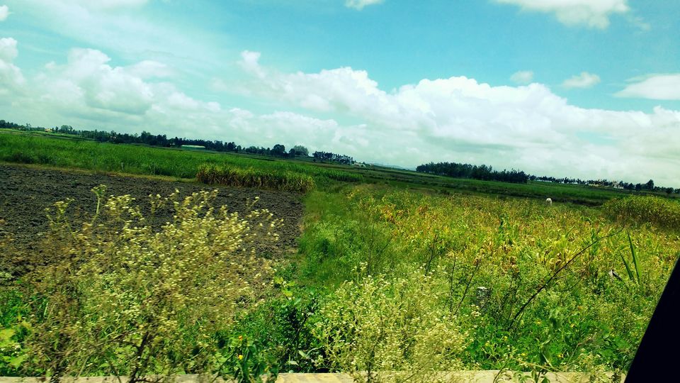 Photo of Where the green meets the greenery in Chikmagaluru 10/10 by Ria Saha