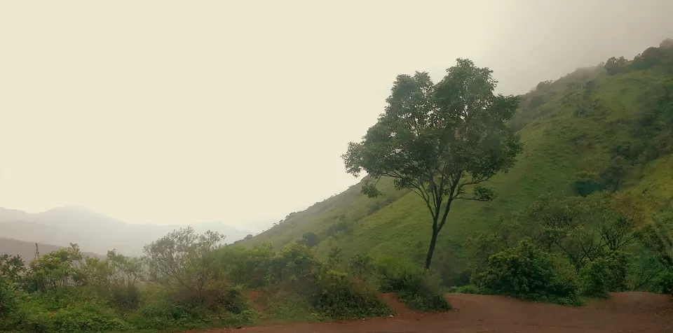Photo of Hotel Rajmahal, Chickmagaluru, India by Ria Saha