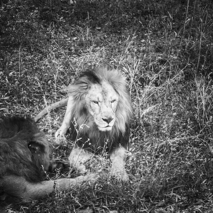 Photo of My travels in 2017 by Vinay