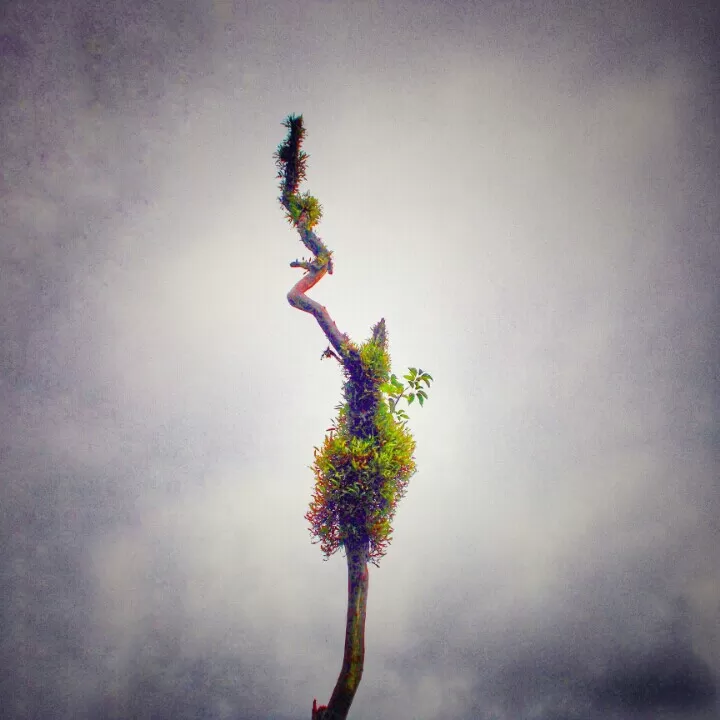 Photo of My travels in 2017 by Vinay