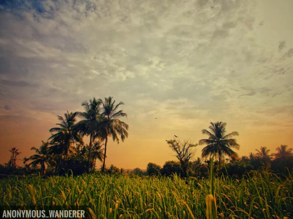 Photo of My travels in 2017 by Vinay