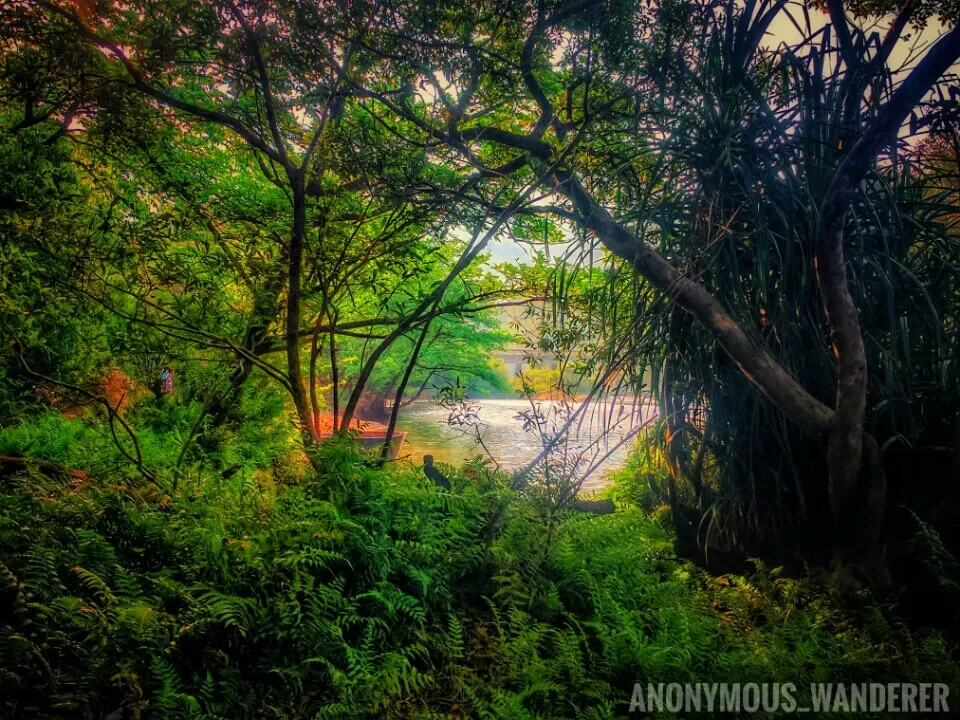 Photo of My travels in 2017 by Vinay