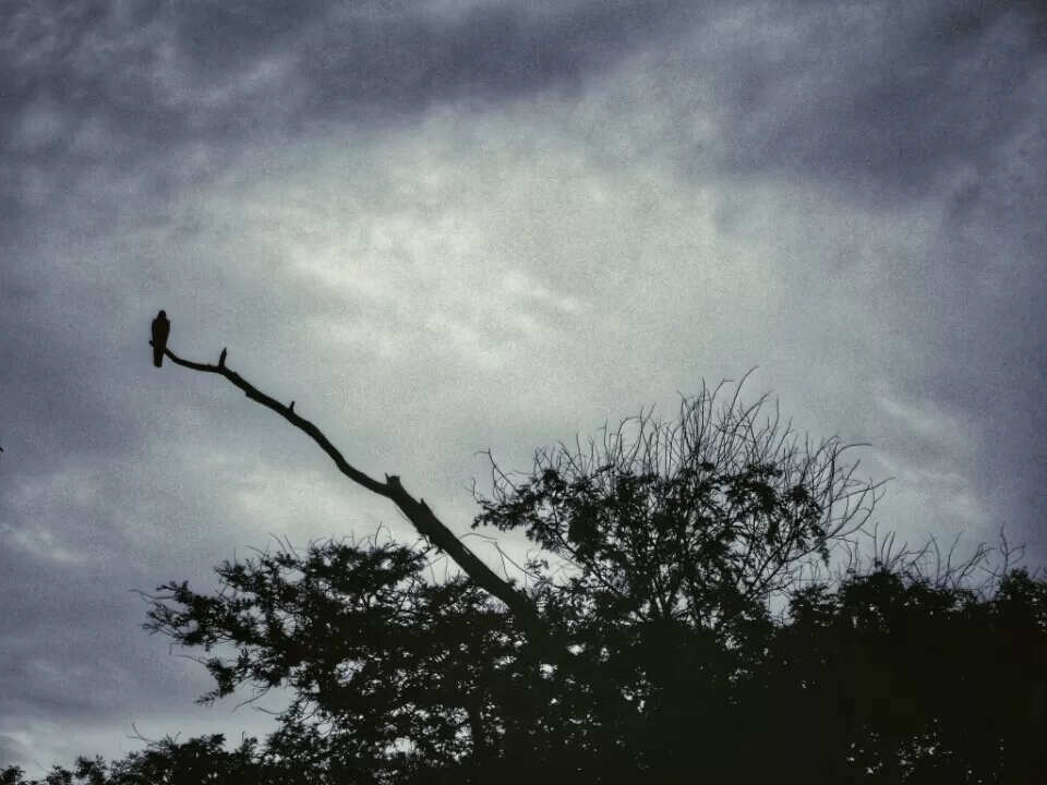 Photo of My travels in 2017 by Vinay