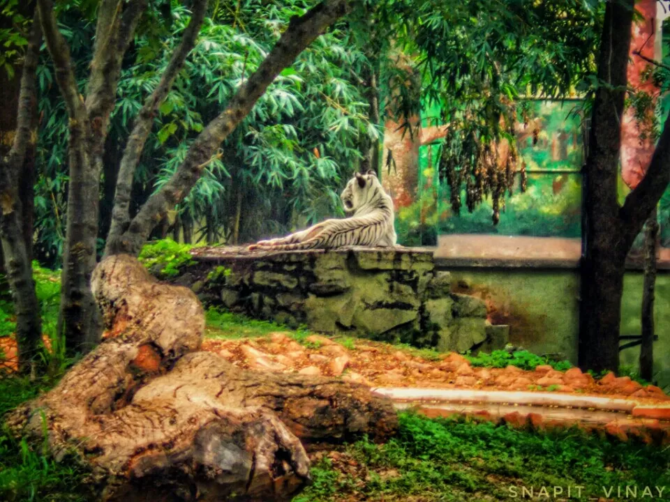 Photo of My travels in 2017 by Vinay