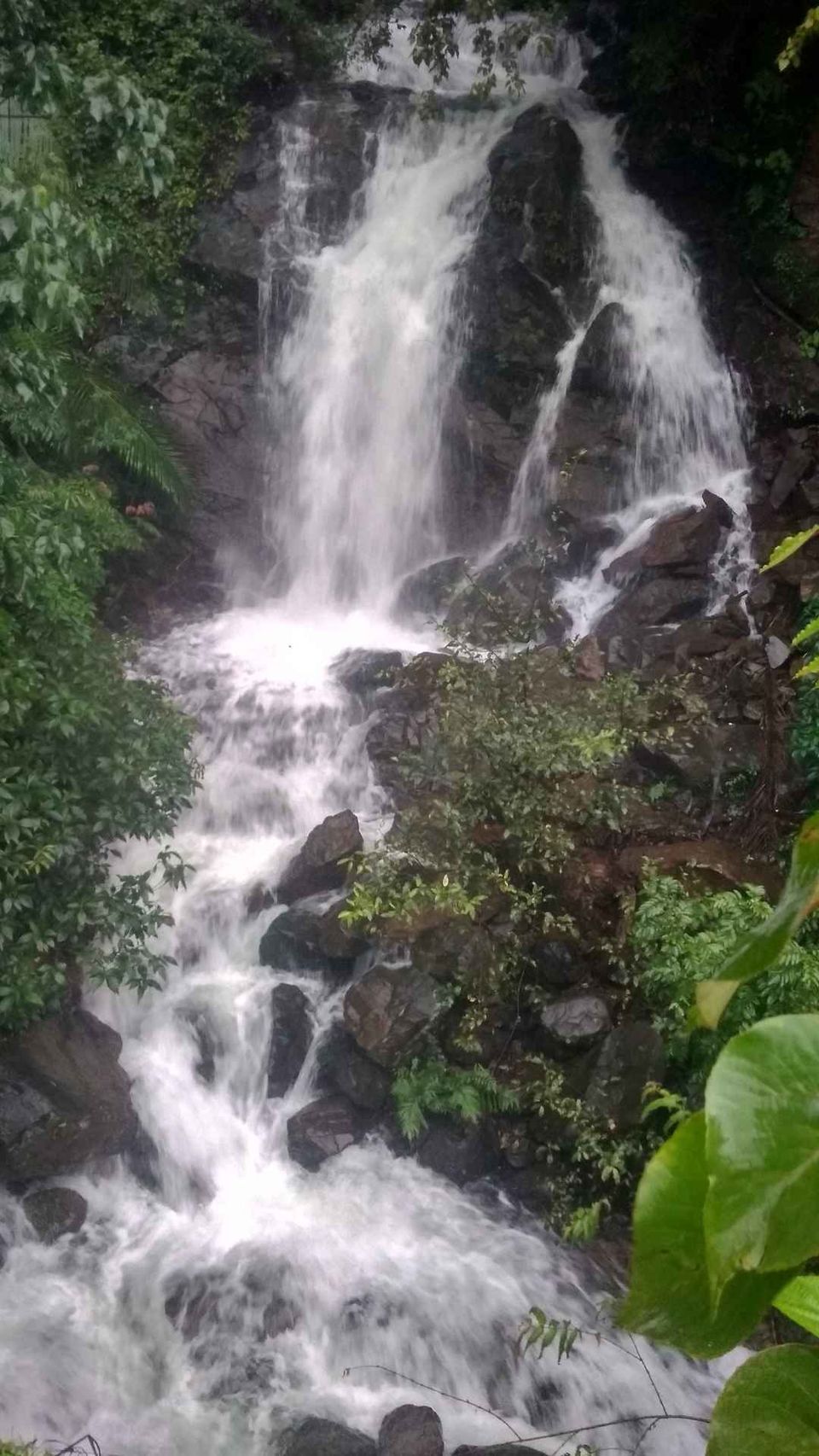 Photo of Dudhsagar Falls, Sonaulim, Goa, India by Vinay