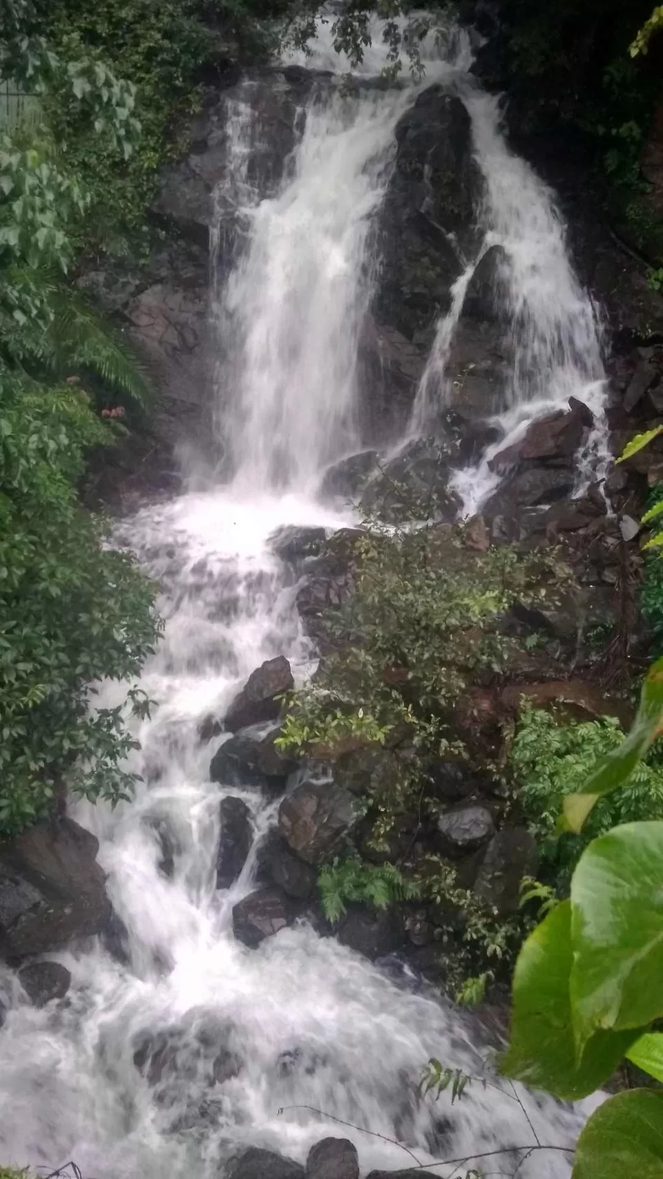 Photo of Dudhsagar Falls, Sonaulim, Goa, India by Vinay