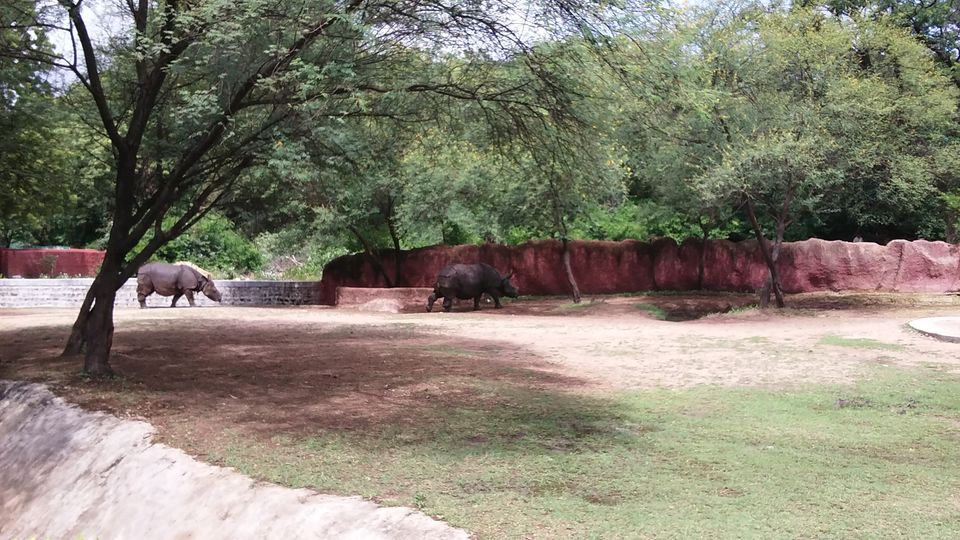 Photo of Nehru Zoological Park β Hyderabad 3/26 by Vinay