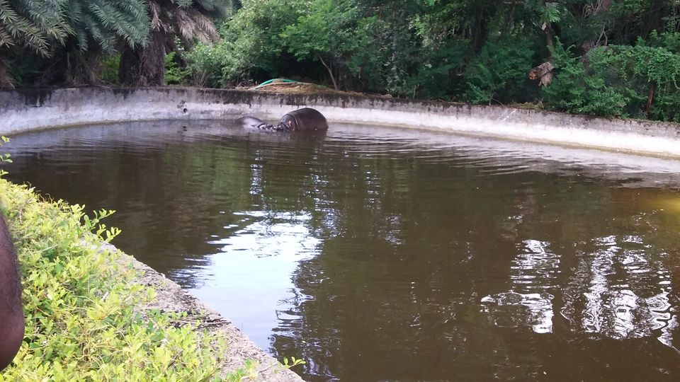 Photo of Nehru Zoological Park β Hyderabad 5/26 by Vinay