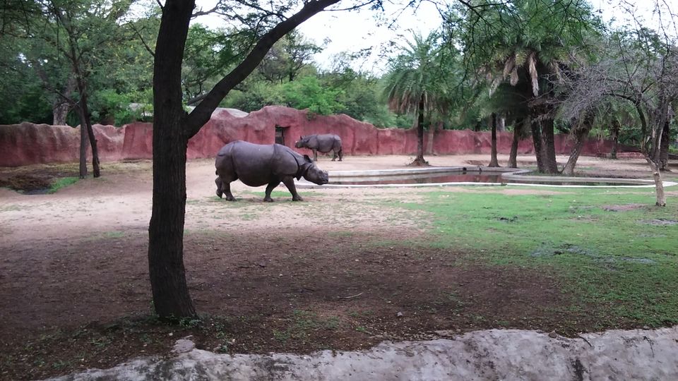 Photo of Nehru Zoological Park β Hyderabad 6/26 by Vinay