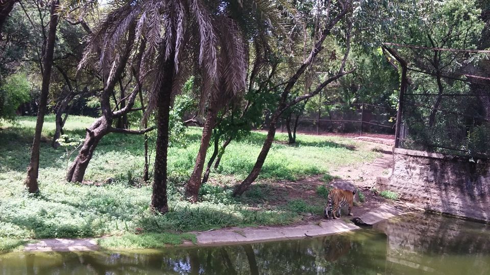 Photo of Nehru Zoological Park β Hyderabad 7/26 by Vinay