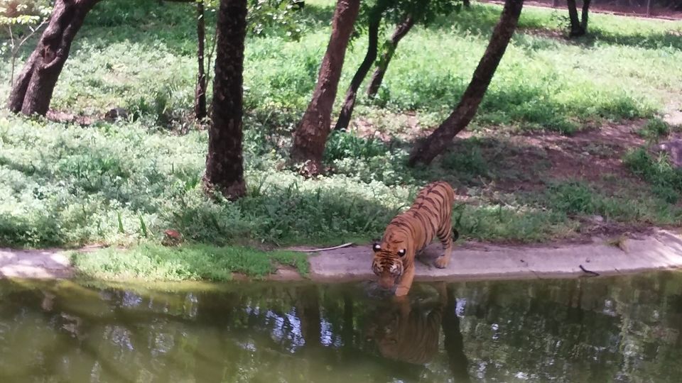 Photo of Nehru Zoological Park β Hyderabad 8/26 by Vinay