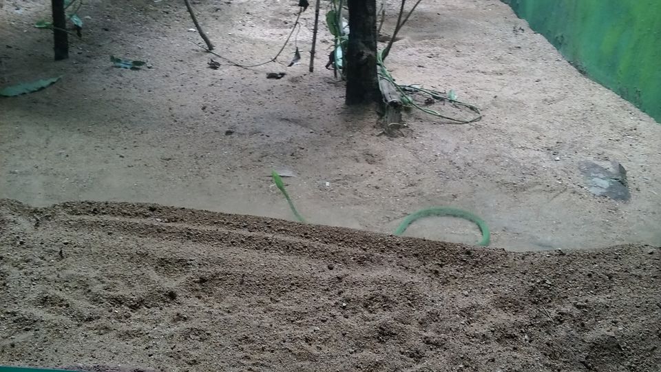 Photo of Nehru Zoological Park β Hyderabad 15/26 by Vinay