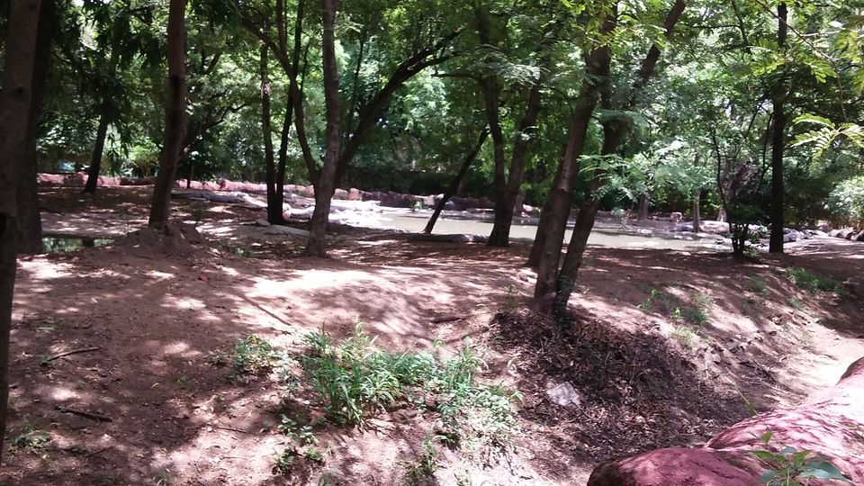 Photo of Nehru Zoological Park β Hyderabad 19/26 by Vinay