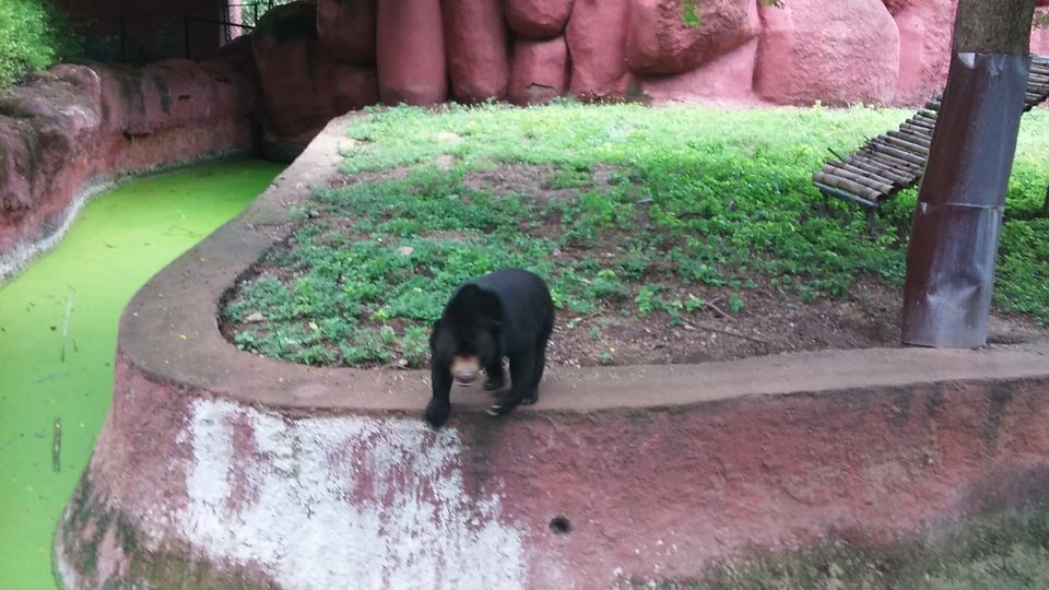Photo of Nehru Zoological Park β Hyderabad 20/26 by Vinay