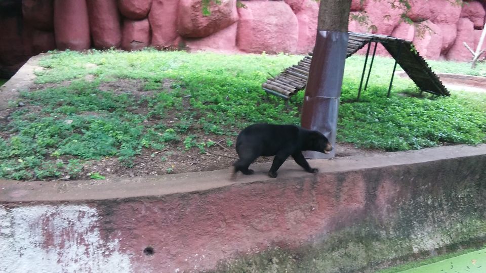 Photo of Nehru Zoological Park β Hyderabad 21/26 by Vinay
