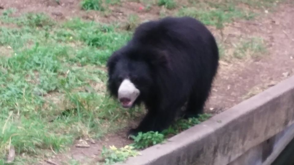 Photo of Nehru Zoological Park β Hyderabad 22/26 by Vinay