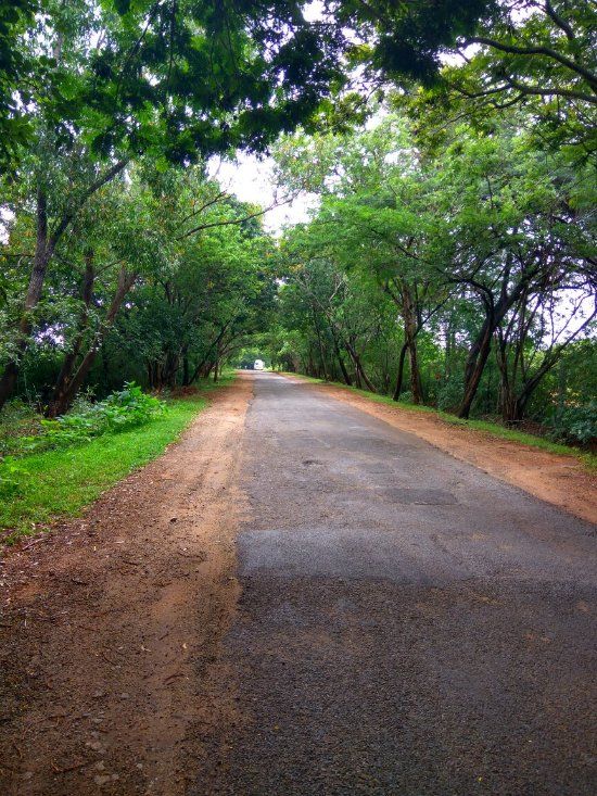 Photo of Bangalore - Road Trip & Trek - Avalabetta 8/9 by Vinay
