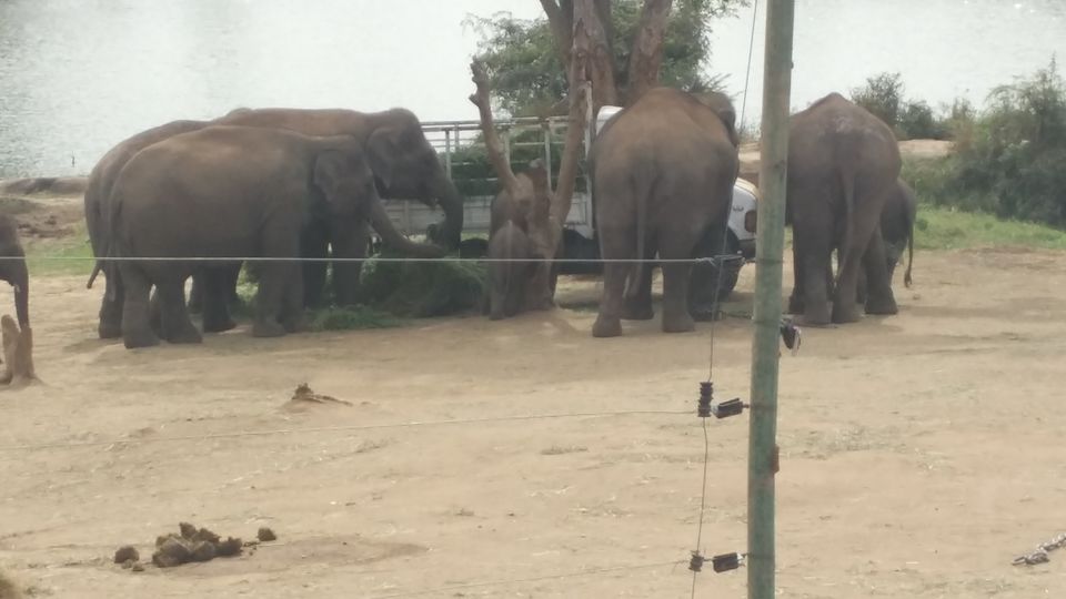 Photo of Bannerghatta National Park - Best Safari Experience 3/15 by Vinay
