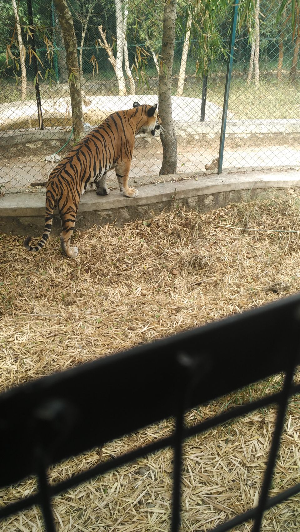 Photo of Bannerghatta National Park - Best Safari Experience 7/15 by Vinay