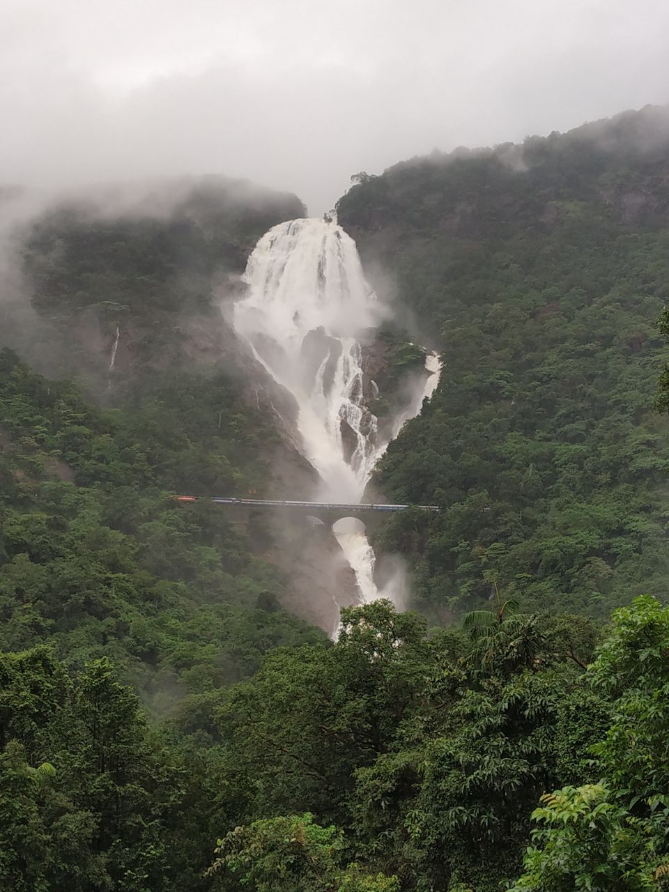 Photo of Dudhsagar Falls, Sonaulim, Goa, India by Vinay