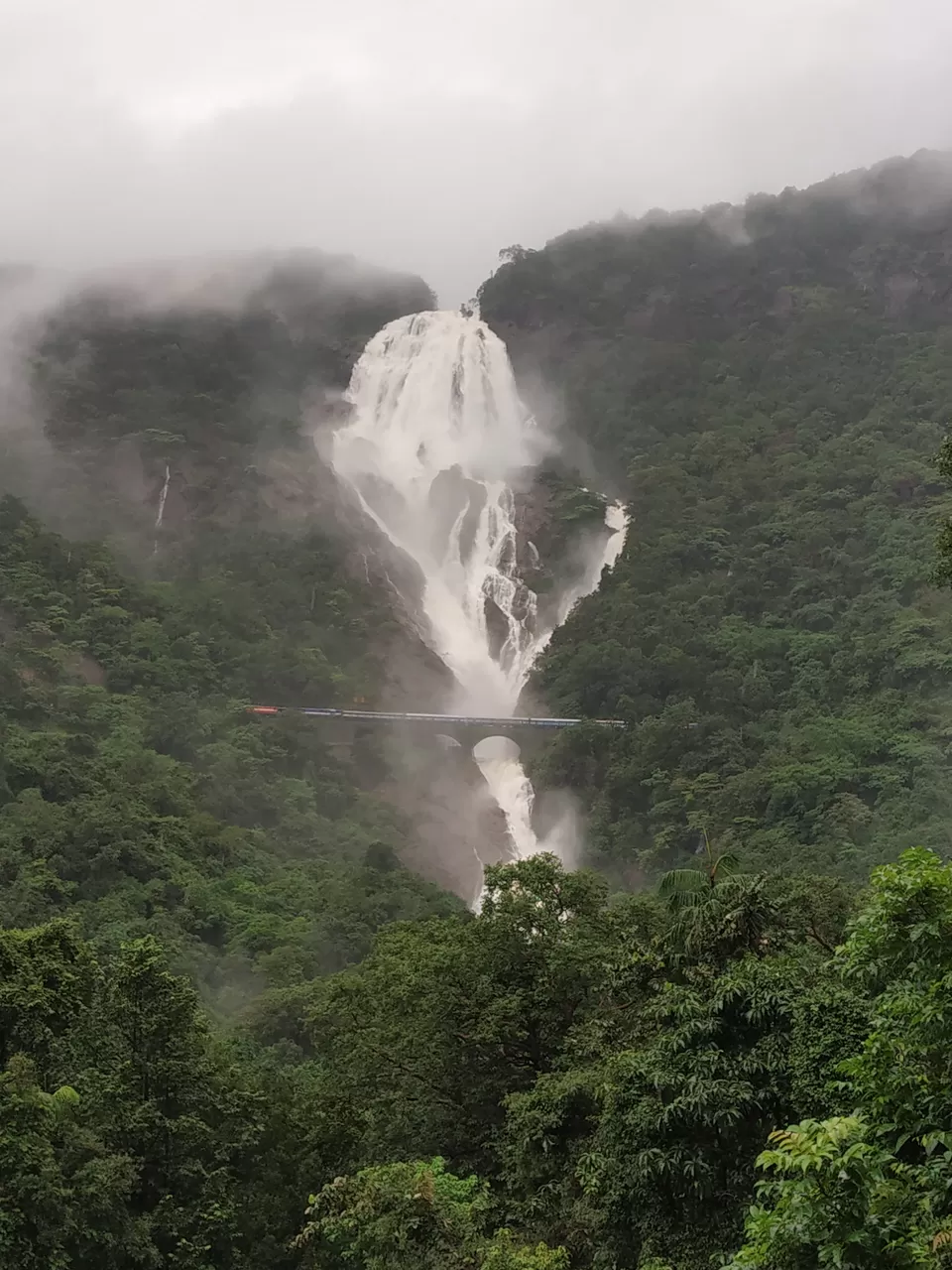 Photo of Dudhsagar Falls, Sonaulim, Goa, India by Vinay