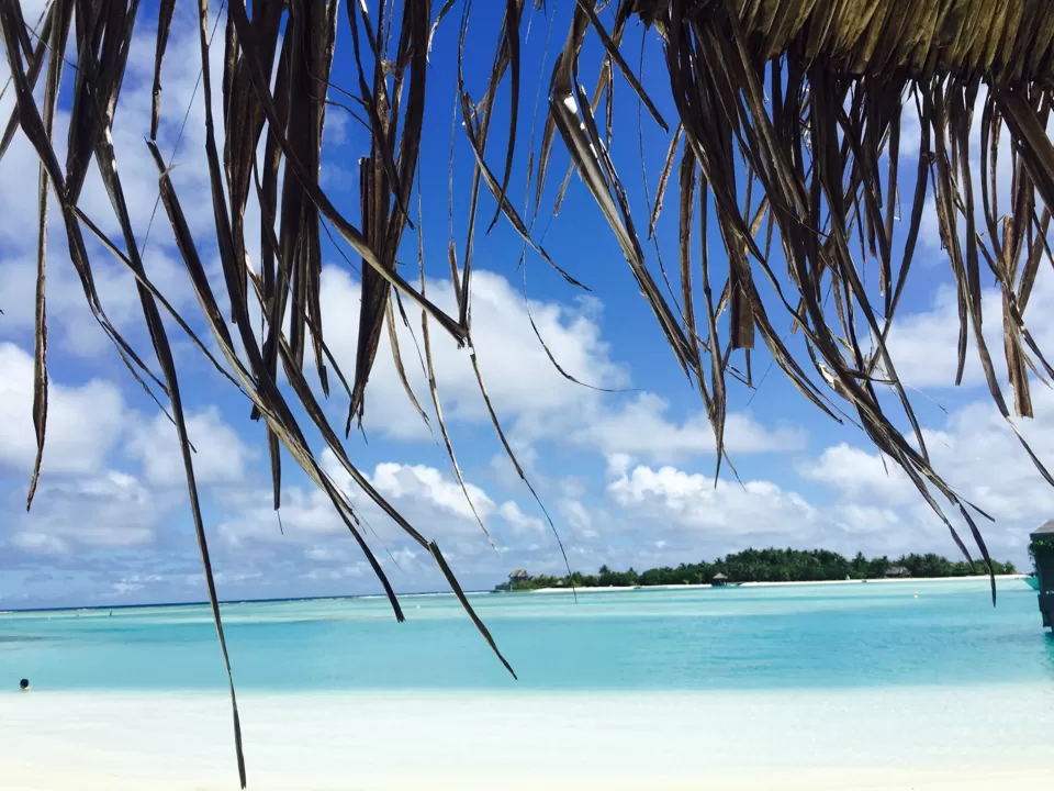 Photo of Anantara Dhigu Resort & Spa, Maldives, Kaafu Atoll, North Central Province, Maldives by Lisa 