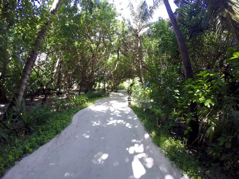 Photo of Anantara Dhigu Resort & Spa, Maldives, Kaafu Atoll, North Central Province, Maldives by Lisa 